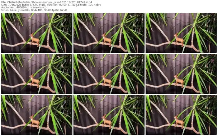 2025/10/27/chaturbate-aronyou_win-18-17-41