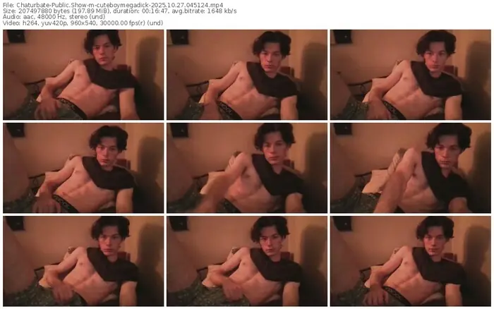 2025/10/27/chaturbate-cuteboymegadick-04-51-24