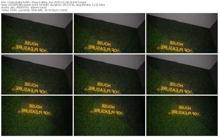 2025/10/28/chaturbate-abby_me-21-04-10