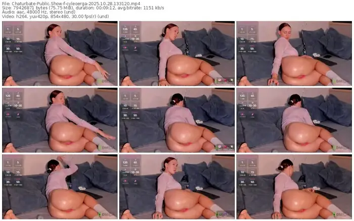 2025/10/28/chaturbate-cyleoerga-13-31-20