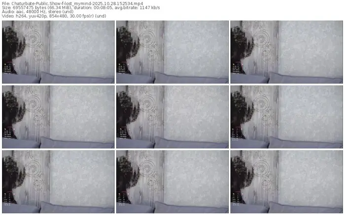 2025/10/28/chaturbate-lost_mymind-15-25-34