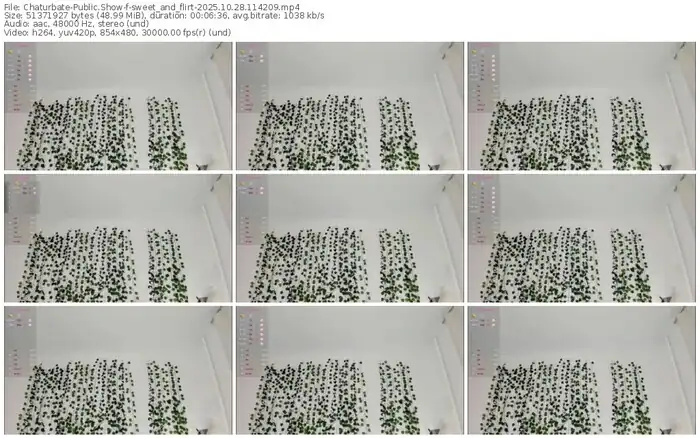 2025/10/28/chaturbate-sweet_and_flirt-11-42-09