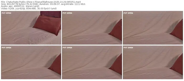 2025/10/29/chaturbate-hlopushkahouse-08-53-51