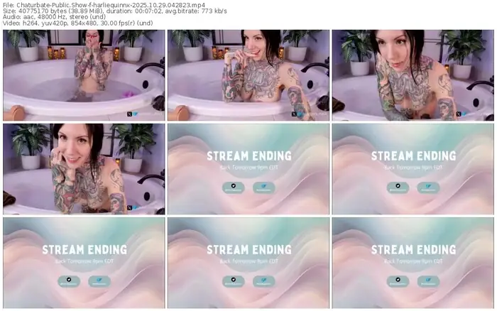 2025/10/29/chaturbate-harliequinnx-04-28-23