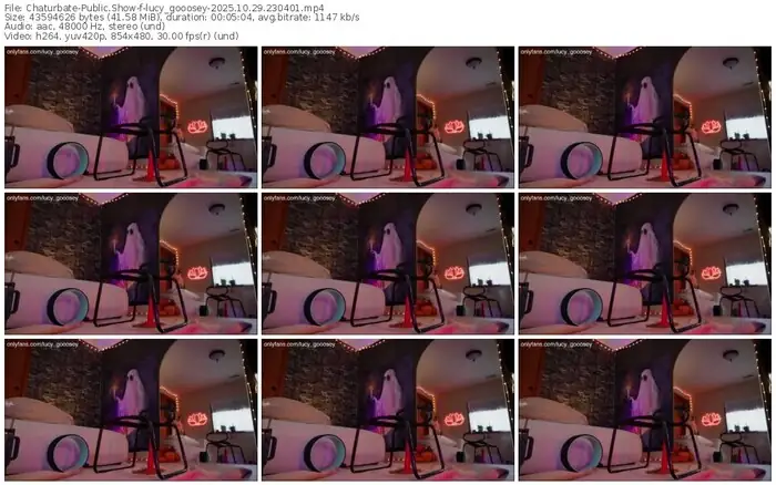 2025/10/29/chaturbate-lucy_gooosey-23-04-01