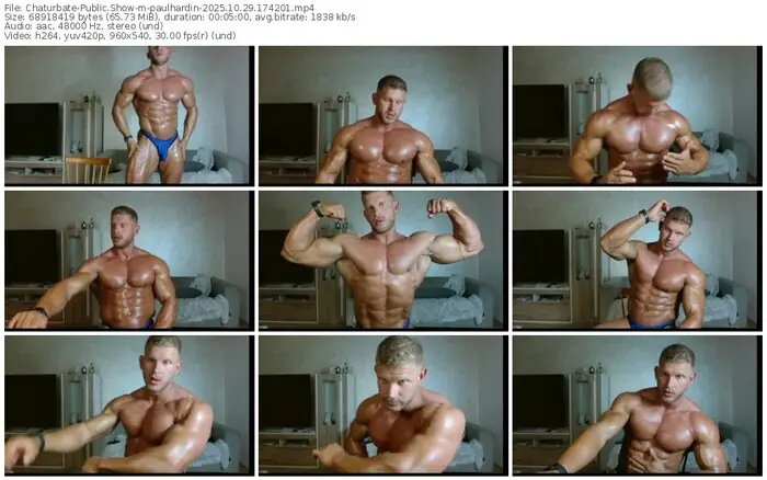 2025/10/29/chaturbate-paulhardin-17-42-01