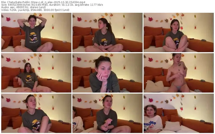 2025/10/30/chaturbate-di_n_alex-15-43-34