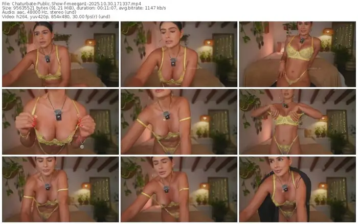 2025/10/30/chaturbate-meegan1-17-13-37