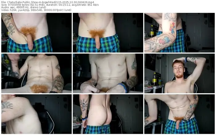 2025/10/30/chaturbate-bigwhited2115-06-04-26