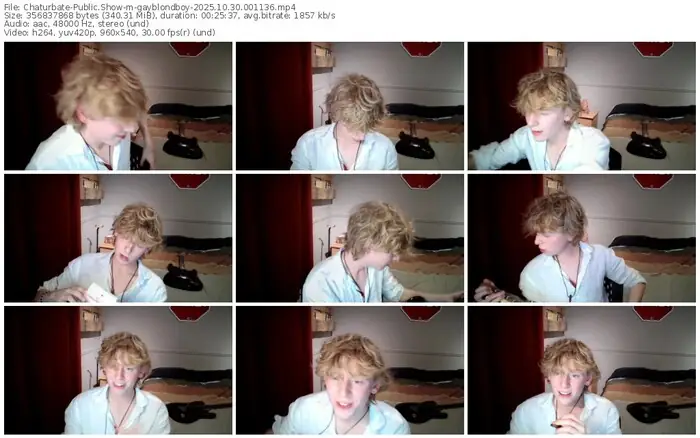 2025/10/30/chaturbate-gayblondboy-00-11-36