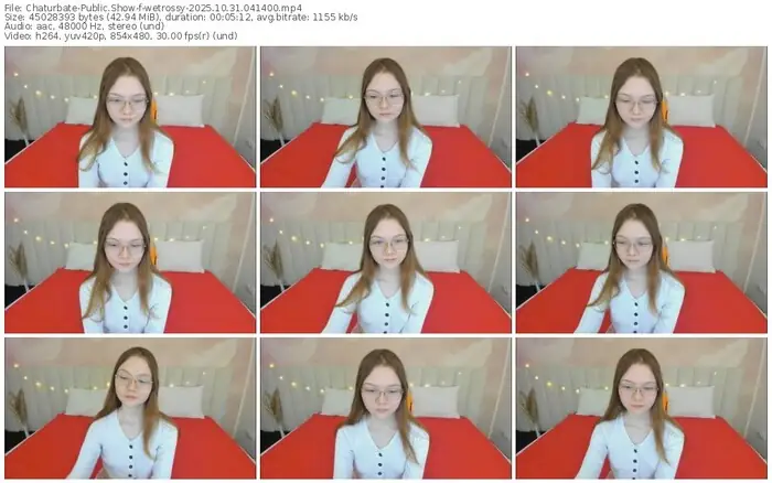 2025/10/31/chaturbate-wetrossy-04-14-00
