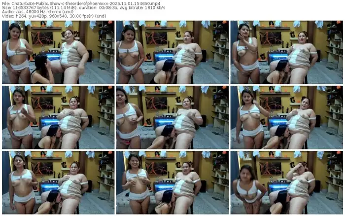 2025/11/01/chaturbate-theorderofphoenixxx-15-46-50