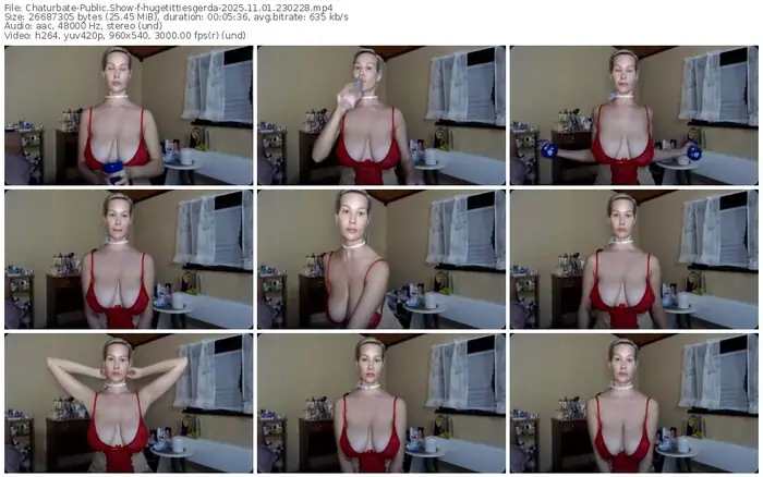 2025/11/01/chaturbate-hugetittiesgerda-23-02-28