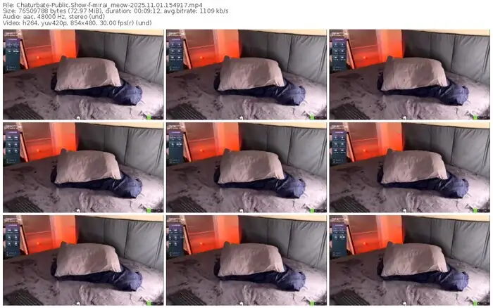 2025/11/01/chaturbate-mirai_meow-15-49-17