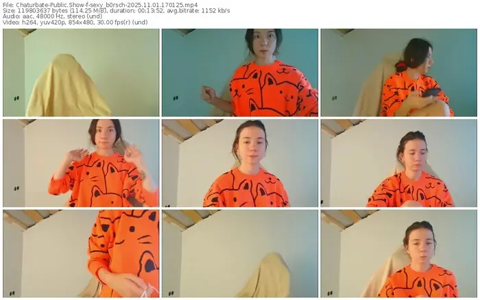 2025/11/01/chaturbate-sexy_b0rsch-17-01-25