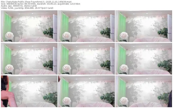 2025/11/01/chaturbate-sunshine13_-18-56-39