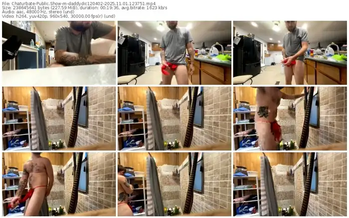 2025/11/01/chaturbate-daddydic120402-12-37-51
