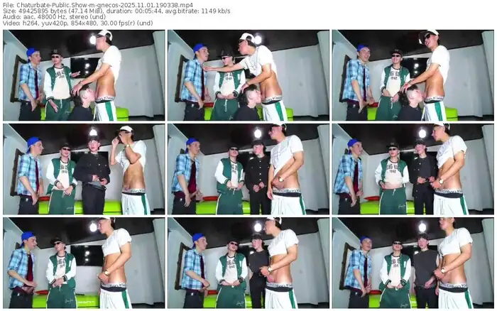 2025/11/01/chaturbate-gnecos-19-03-38