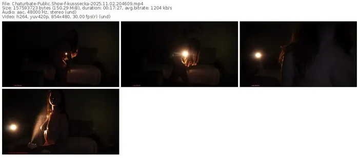 2025/11/02/chaturbate-kusssecka-20-46-09