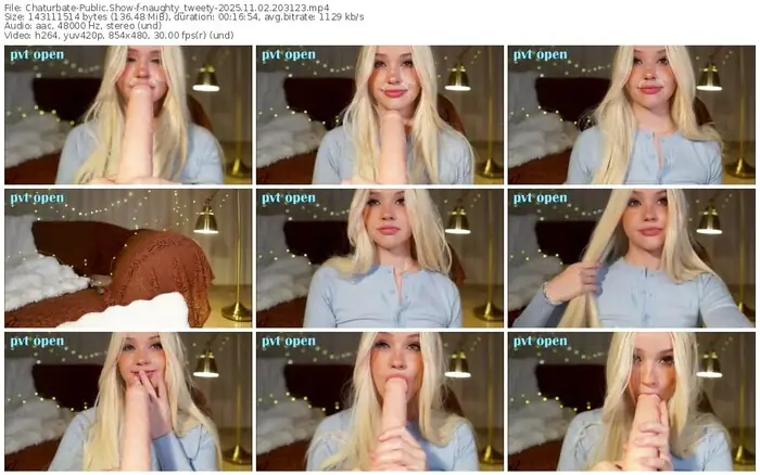 2025/11/02/chaturbate-naughty_tweety-20-31-23