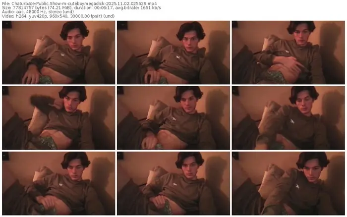 2025/11/02/chaturbate-cuteboymegadick-02-55-29