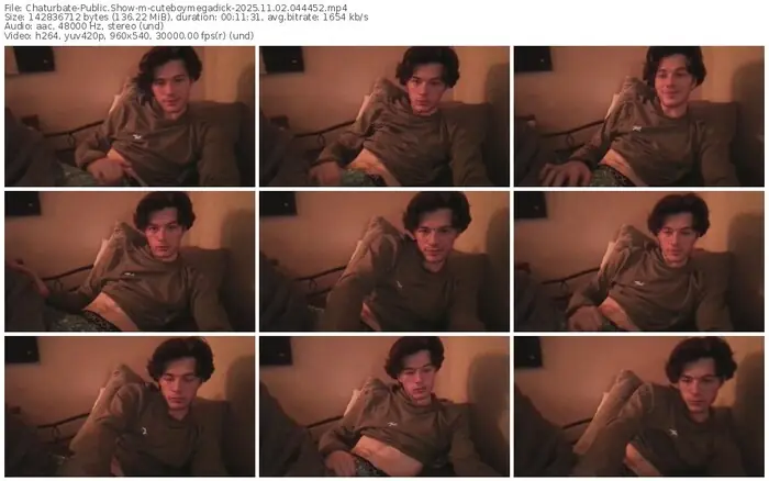 2025/11/02/chaturbate-cuteboymegadick-04-44-52