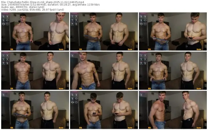 2025/11/02/chaturbate-nik_sharp-14-46-35