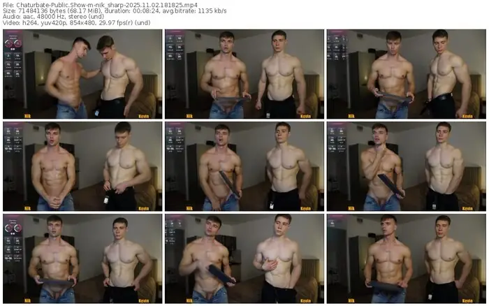 2025/11/02/chaturbate-nik_sharp-18-18-25