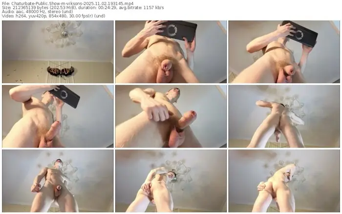 2025/11/02/chaturbate-viksons-19-31-45