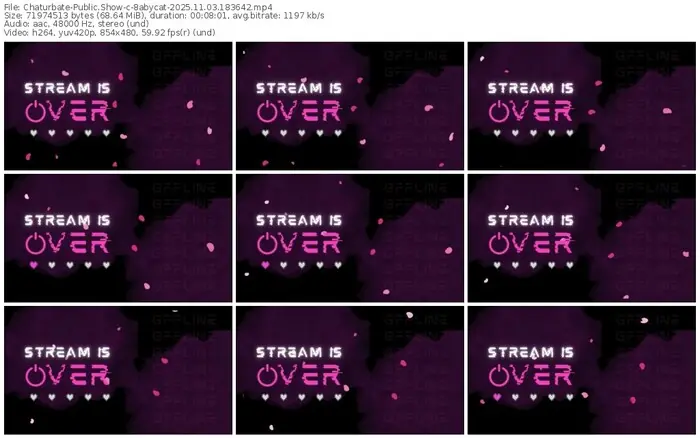 2025/11/03/chaturbate-8abycat-18-36-42