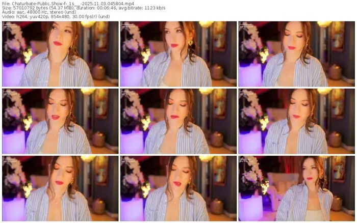 2025/11/03/chaturbate-_1s___-04-58-04