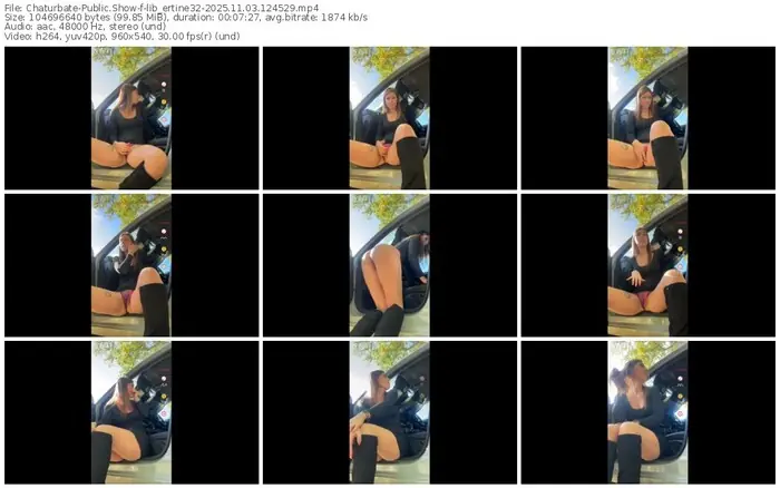 2025/11/03/chaturbate-lib_ertine32-12-45-29