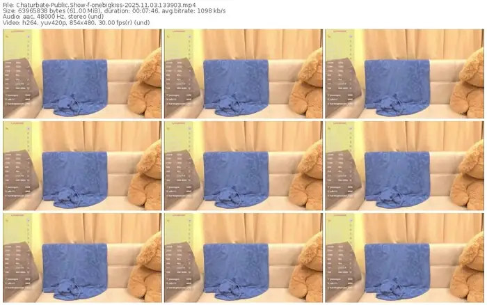 2025/11/03/chaturbate-onebigkiss-13-39-03