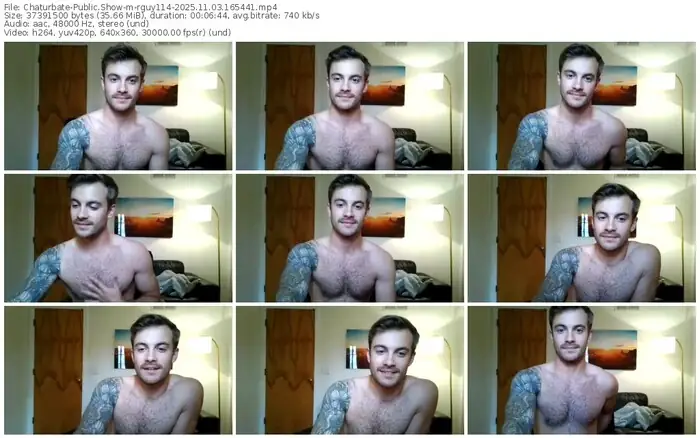 2025/11/03/chaturbate-rguy114-16-54-41