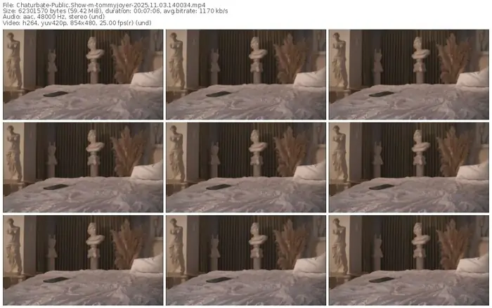 2025/11/03/chaturbate-tommyjoyer-14-00-34