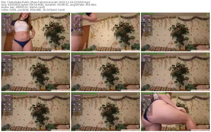 2025/11/04/chaturbate-aliceriverscam-22-32-04