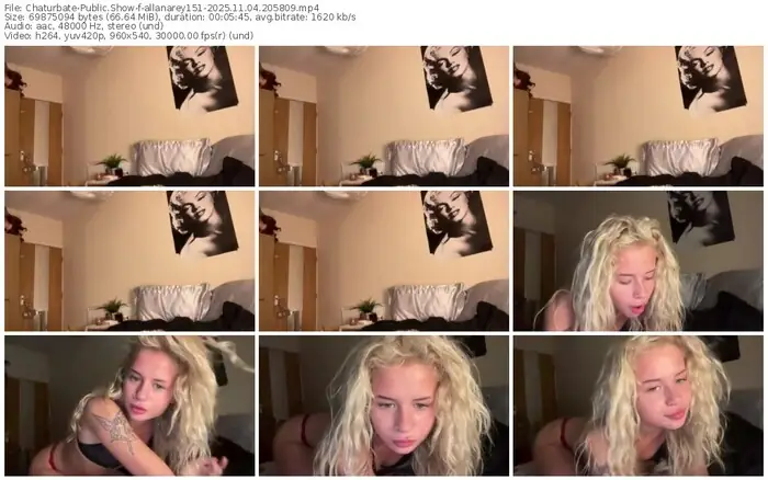 2025/11/04/chaturbate-allanarey151-20-58-09