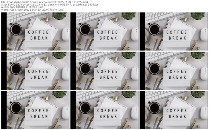 2025/11/04/chaturbate-michalkandoll-17-12-35