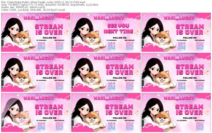 2025/11/04/chaturbate-waki_lucky-11-15-43