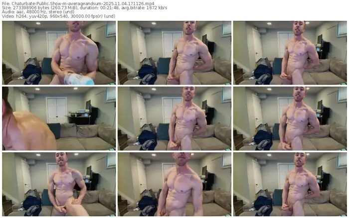 2025/11/04/chaturbate-averageandsum-17-11-26