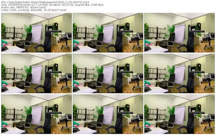 2025/11/05/chaturbate-babesgowild-09-07-37