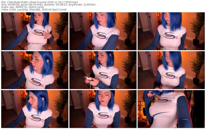 2025/11/05/chaturbate-vixenp-17-35-59