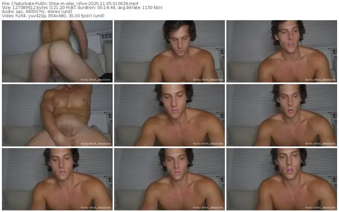 2025/11/05/chaturbate-alex_islive-01-06-39
