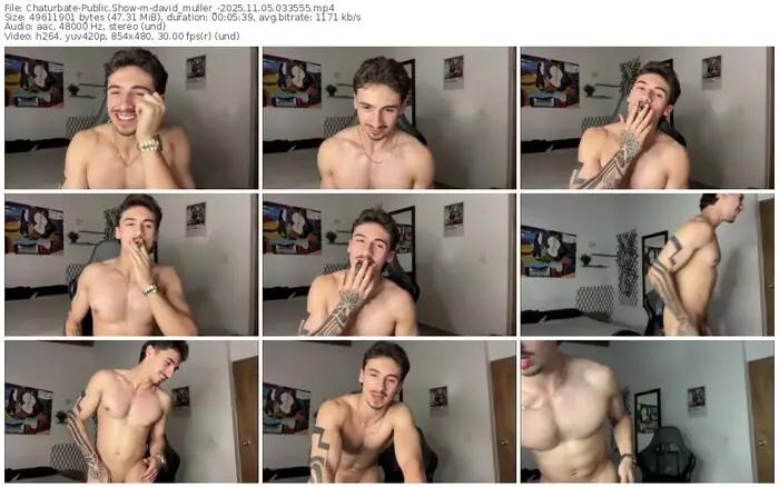 2025/11/05/chaturbate-david_muller_-03-35-55