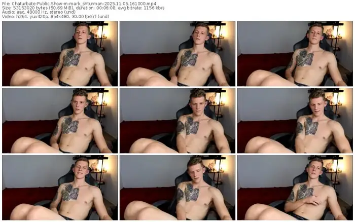 2025/11/05/chaturbate-mark_shturman-16-10-00