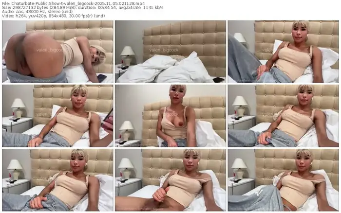 2025/11/05/chaturbate-valeri_bigcock-02-11-28