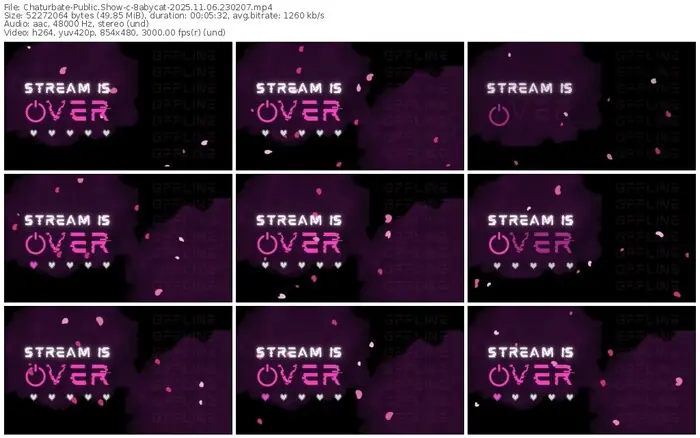 2025/11/06/chaturbate-8abycat-23-02-07