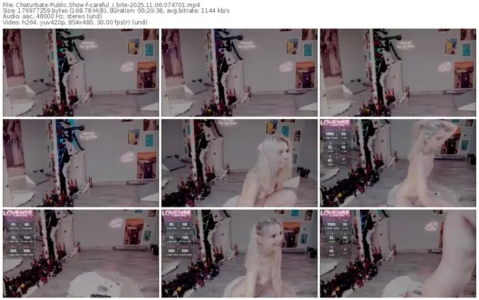 2025/11/06/chaturbate-careful_i_bite-07-47-01