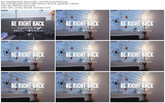 2025/11/06/chaturbate-midori__san-18-39-15