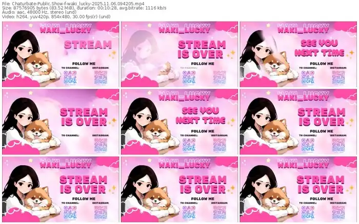 2025/11/06/chaturbate-waki_lucky-09-42-05